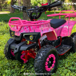 VELOCIRAPTOR 50X
