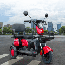 ECORIDER x3 800W